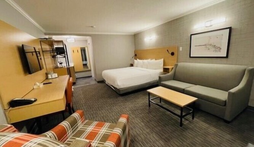 Standard Room, 1 King Bed with Sofa bed (No pets)