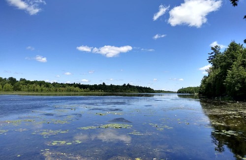 Tay Valley Cottage | WaTERFRoNT TiNY HoUSe NeAR PeRth & an HouR to OttAwA - A Perfect Getaway for Two