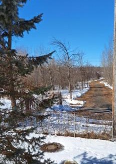 Ottawa Division House | Nature Retreat in the city